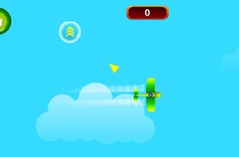 Save The Pilot Airplane